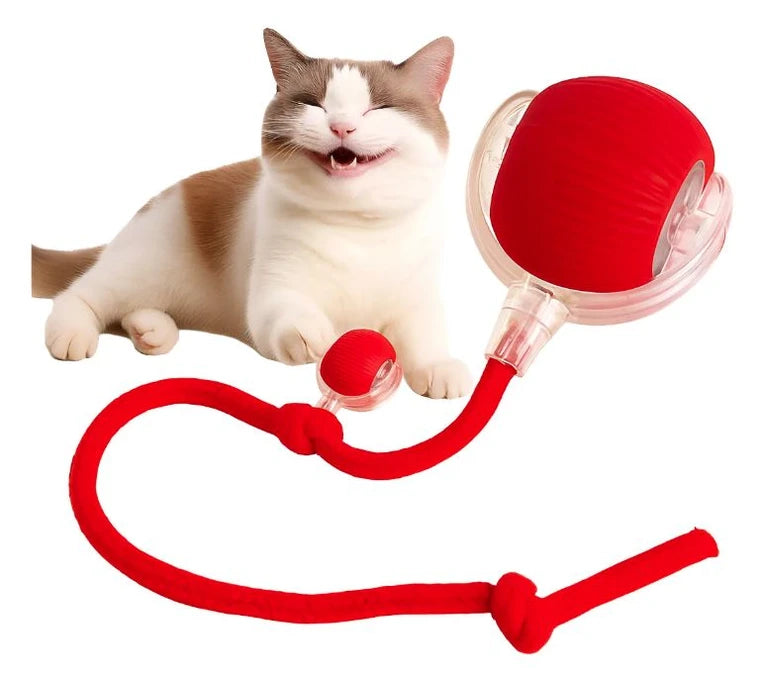 Pelota Interactiva con Cola para Mascotas Quema sus energías y - Imagen 3